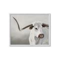 Picture of Cow with Big Horn _GroupedProduct_Rectangle_Landscape_Framed_Matted_