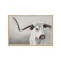 Picture of Cow with Big Horn _GroupedProduct_Rectangle_Landscape_Framed_Matted_