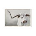 Picture of Cow with Big Horn _GroupedProduct_Rectangle_Landscape_Framed_Matted_