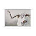 Picture of Cow with Big Horn _GroupedProduct_Rectangle_Landscape_Framed_Matted_