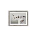 Picture of Cow with Big Horn _GroupedProduct_Rectangle_Landscape_Framed_Matted_