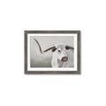 Picture of Cow with Big Horn _GroupedProduct_Rectangle_Landscape_Framed_Matted_