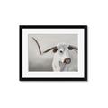 Picture of Cow with Big Horn _GroupedProduct_Rectangle_Landscape_Framed_Matted_