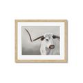 Picture of Cow with Big Horn _GroupedProduct_Rectangle_Landscape_Framed_Matted_