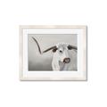 Picture of Cow with Big Horn _GroupedProduct_Rectangle_Landscape_Framed_Matted_