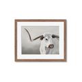 Picture of Cow with Big Horn _GroupedProduct_Rectangle_Landscape_Framed_Matted_