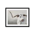 Picture of Cow with Big Horn _GroupedProduct_Rectangle_Landscape_Framed_Matted_