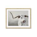 Picture of Cow with Big Horn _GroupedProduct_Rectangle_Landscape_Framed_Matted_