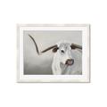 Picture of Cow with Big Horn _GroupedProduct_Rectangle_Landscape_Framed_Matted_