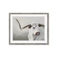 Picture of Cow with Big Horn _GroupedProduct_Rectangle_Landscape_Framed_Matted_