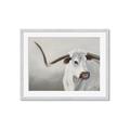 Picture of Cow with Big Horn _GroupedProduct_Rectangle_Landscape_Framed_Matted_