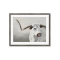 Picture of Cow with Big Horn _GroupedProduct_Rectangle_Landscape_Framed_Matted_