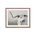 Picture of Cow with Big Horn _GroupedProduct_Rectangle_Landscape_Framed_Matted_