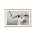 Picture of Cow with Big Horn _GroupedProduct_Rectangle_Landscape_Framed_Matted_