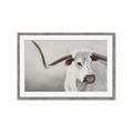 Picture of Cow with Big Horn _GroupedProduct_Rectangle_Landscape_Framed_Matted_