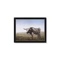 Picture of Roaming Around _GroupedProduct_Rectangle_Landscape_Framed_Matted_