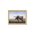 Picture of Roaming Around _GroupedProduct_Rectangle_Landscape_Framed_Matted_