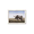 Picture of Roaming Around _GroupedProduct_Rectangle_Landscape_Framed_Matted_