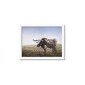 Picture of Roaming Around _GroupedProduct_Rectangle_Landscape_Framed_Matted_