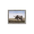 Picture of Roaming Around _GroupedProduct_Rectangle_Landscape_Framed_Matted_