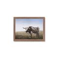 Picture of Roaming Around _GroupedProduct_Rectangle_Landscape_Framed_Matted_