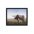 Picture of Roaming Around _GroupedProduct_Rectangle_Landscape_Framed_Matted_