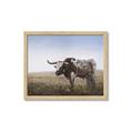 Picture of Roaming Around _GroupedProduct_Rectangle_Landscape_Framed_Matted_