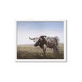 Picture of Roaming Around _GroupedProduct_Rectangle_Landscape_Framed_Matted_