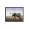 Picture of Roaming Around _GroupedProduct_Rectangle_Landscape_Framed_Matted_