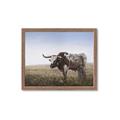 Picture of Roaming Around _GroupedProduct_Rectangle_Landscape_Framed_Matted_