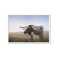 Picture of Roaming Around _GroupedProduct_Rectangle_Landscape_Framed_Matted_