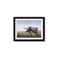 Picture of Roaming Around _GroupedProduct_Rectangle_Landscape_Framed_Matted_