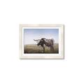 Picture of Roaming Around _GroupedProduct_Rectangle_Landscape_Framed_Matted_
