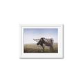 Picture of Roaming Around _GroupedProduct_Rectangle_Landscape_Framed_Matted_