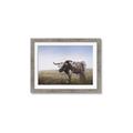 Picture of Roaming Around _GroupedProduct_Rectangle_Landscape_Framed_Matted_