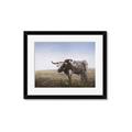 Picture of Roaming Around _GroupedProduct_Rectangle_Landscape_Framed_Matted_