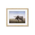 Picture of Roaming Around _GroupedProduct_Rectangle_Landscape_Framed_Matted_