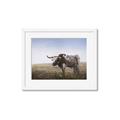 Picture of Roaming Around _GroupedProduct_Rectangle_Landscape_Framed_Matted_