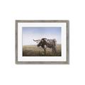 Picture of Roaming Around _GroupedProduct_Rectangle_Landscape_Framed_Matted_