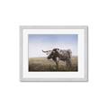 Picture of Roaming Around _GroupedProduct_Rectangle_Landscape_Framed_Matted_