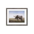 Picture of Roaming Around _GroupedProduct_Rectangle_Landscape_Framed_Matted_