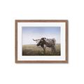 Picture of Roaming Around _GroupedProduct_Rectangle_Landscape_Framed_Matted_