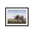 Picture of Roaming Around _GroupedProduct_Rectangle_Landscape_Framed_Matted_