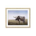Picture of Roaming Around _GroupedProduct_Rectangle_Landscape_Framed_Matted_