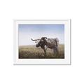 Picture of Roaming Around _GroupedProduct_Rectangle_Landscape_Framed_Matted_