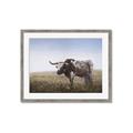 Picture of Roaming Around _GroupedProduct_Rectangle_Landscape_Framed_Matted_