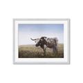 Picture of Roaming Around _GroupedProduct_Rectangle_Landscape_Framed_Matted_