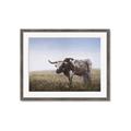Picture of Roaming Around _GroupedProduct_Rectangle_Landscape_Framed_Matted_
