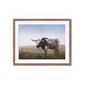 Picture of Roaming Around _GroupedProduct_Rectangle_Landscape_Framed_Matted_