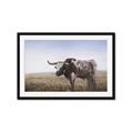 Picture of Roaming Around _GroupedProduct_Rectangle_Landscape_Framed_Matted_